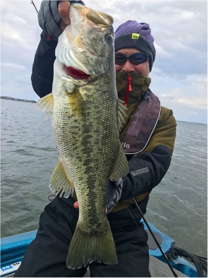 truth  ブログ写真 2018/04/07