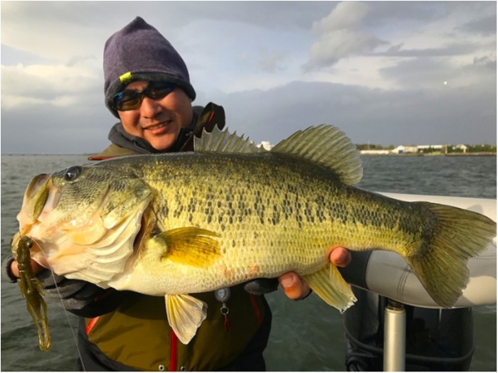 truth  ブログ写真 2018/04/07