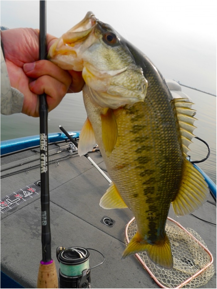 truth  ブログ写真 2018/04/09