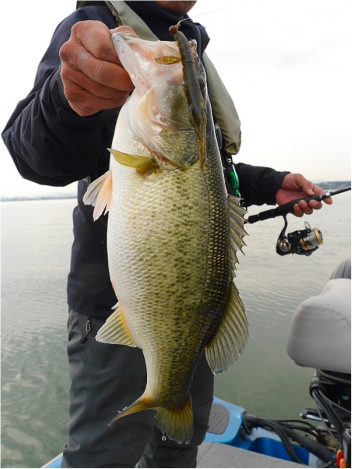 truth  ブログ写真 2018/04/09