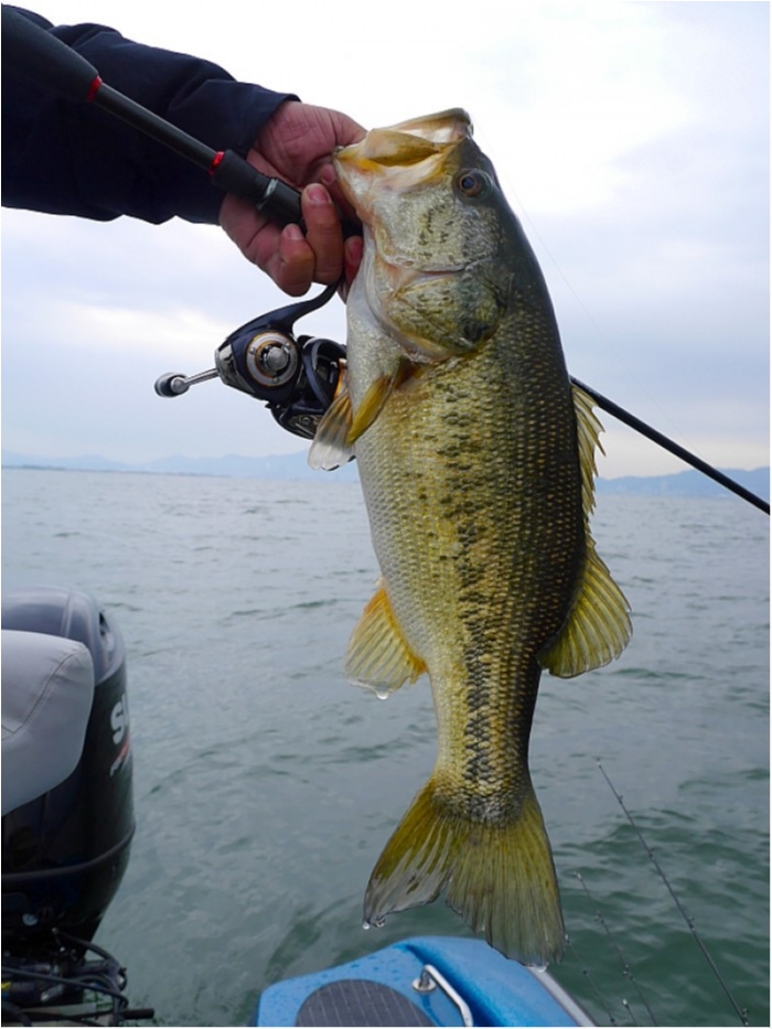 truth  ブログ写真 2018/04/09