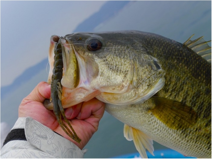 truth  ブログ写真 2018/04/09