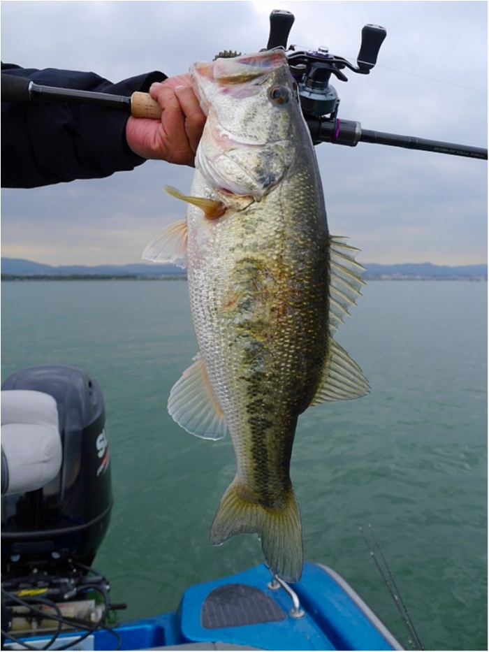 truth  ブログ写真 2018/04/09