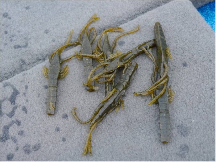 truth  ブログ写真 2018/04/09