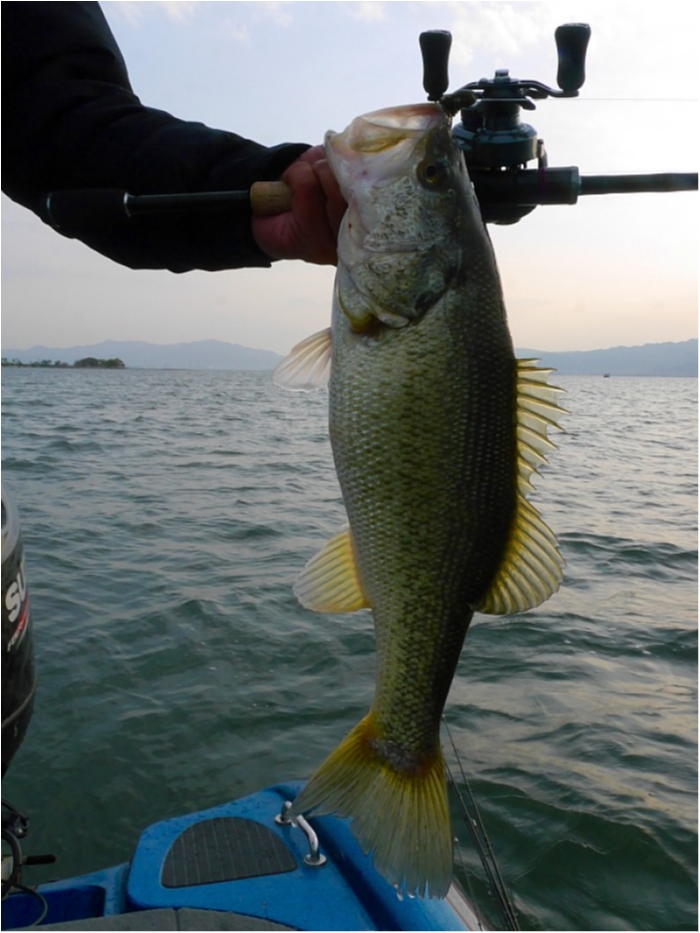 truth  ブログ写真 2018/04/09