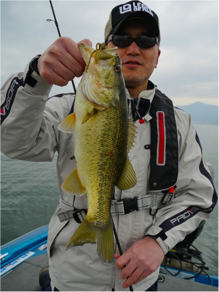 truth  ブログ写真 2018/04/11