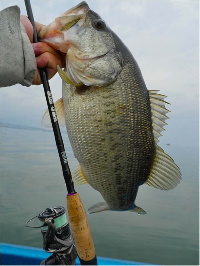 truth  ブログ写真 2018/04/11