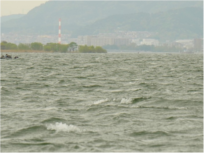 truth  ブログ写真 2018/04/11