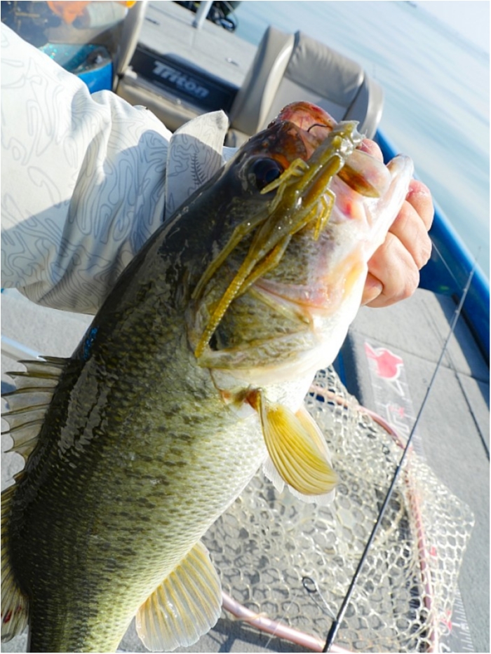 truth  ブログ写真 2018/04/11