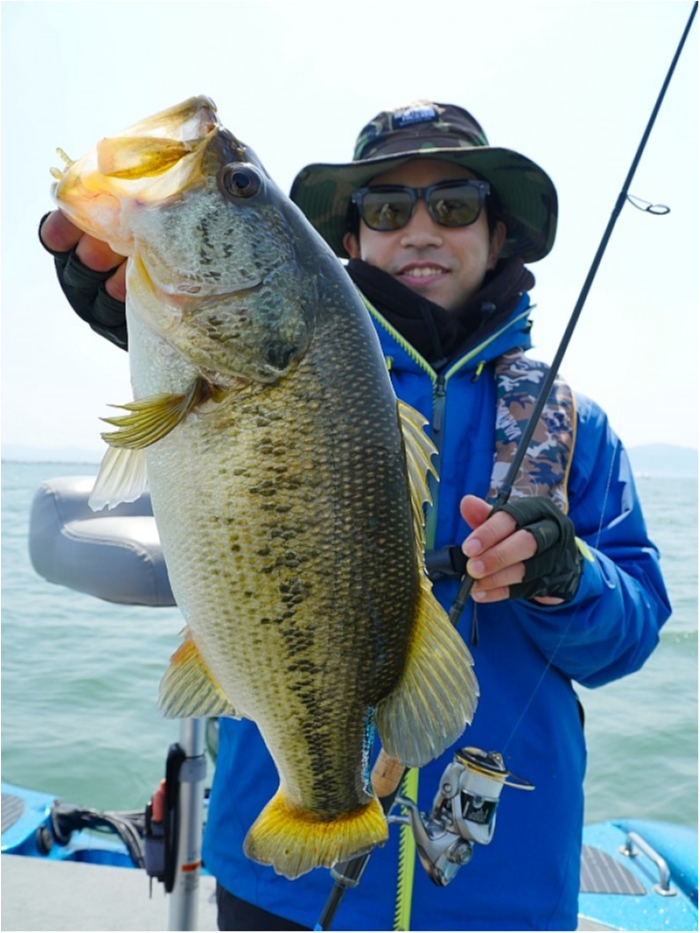 truth  ブログ写真 2018/04/11