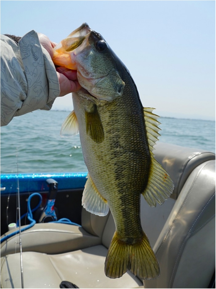 truth  ブログ写真 2018/04/11