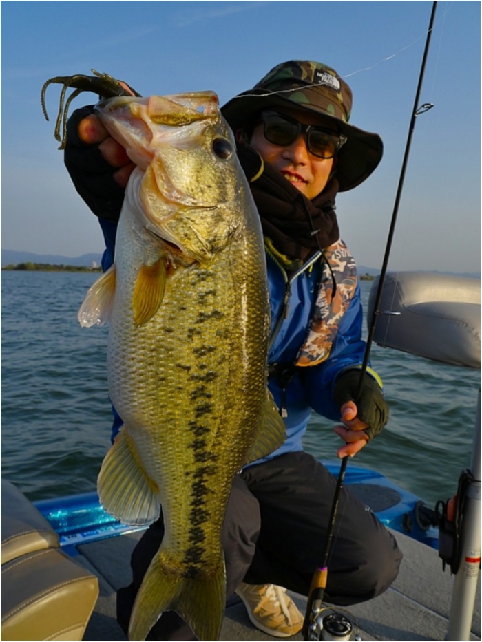 truth  ブログ写真 2018/04/11