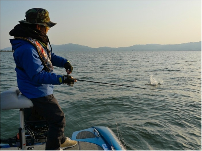 truth  ブログ写真 2018/04/11