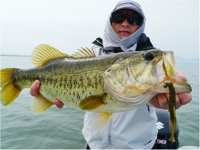 truth  ブログ写真 2018/04/13