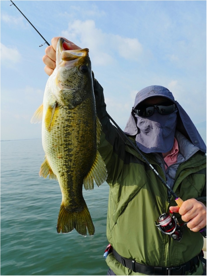 truth  ブログ写真 2018/04/13