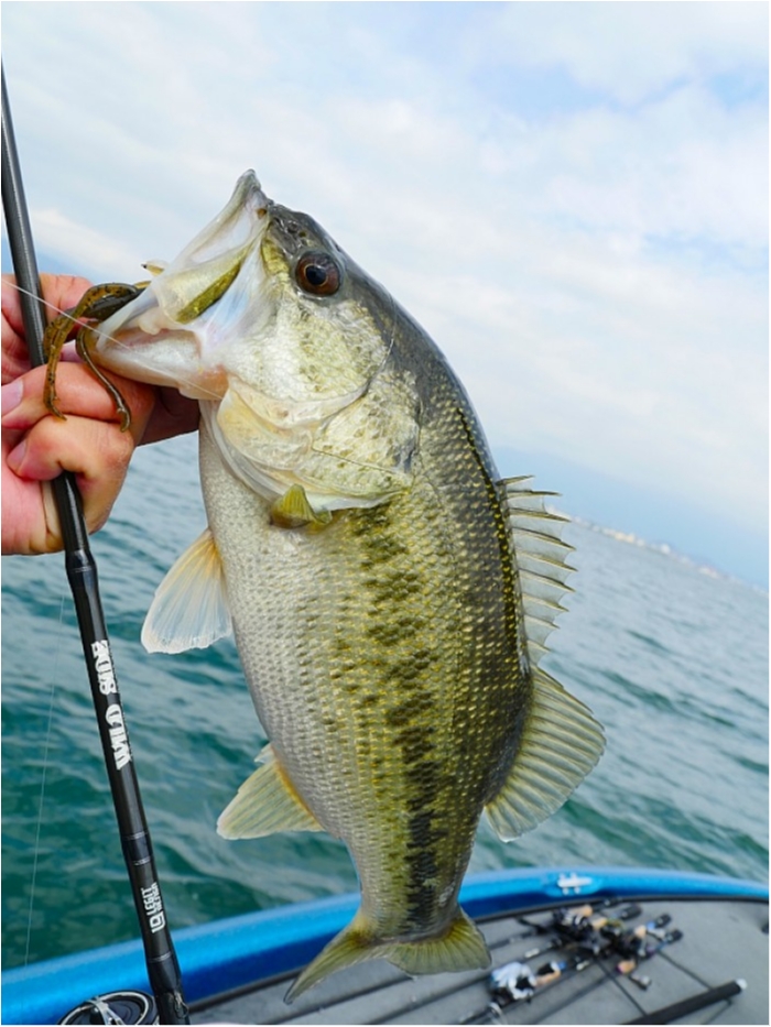 truth  ブログ写真 2018/04/14