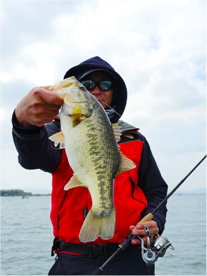 truth  ブログ写真 2018/04/14