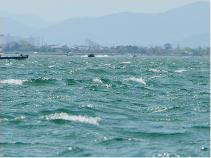 truth  ブログ写真 2018/04/14