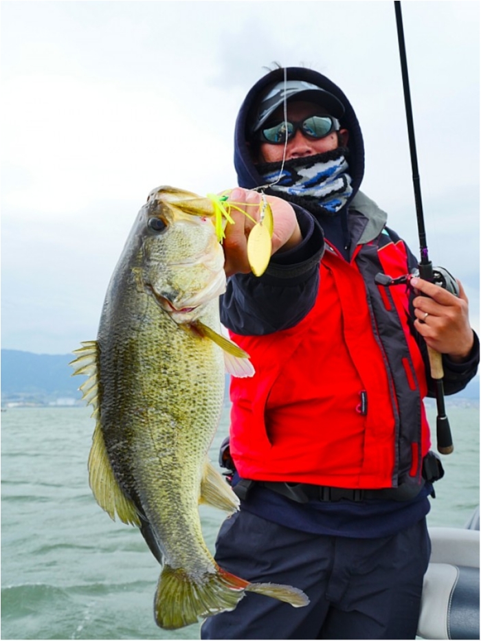 truth  ブログ写真 2018/04/14