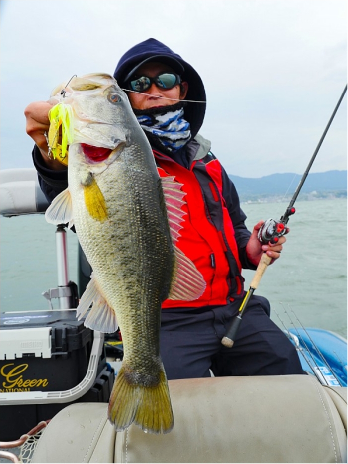 truth  ブログ写真 2018/04/14