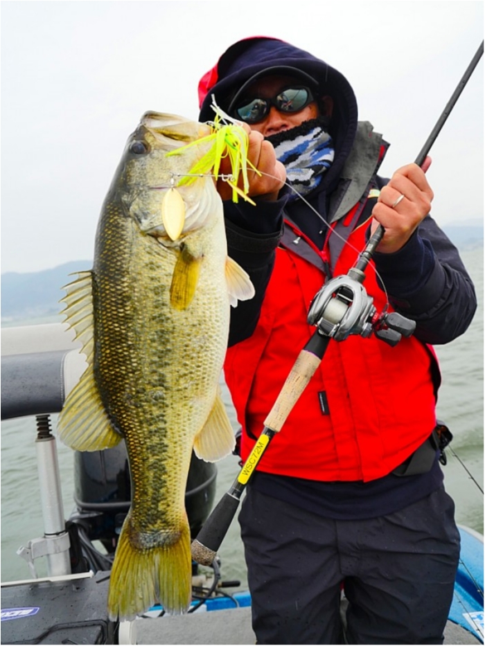 truth  ブログ写真 2018/04/14