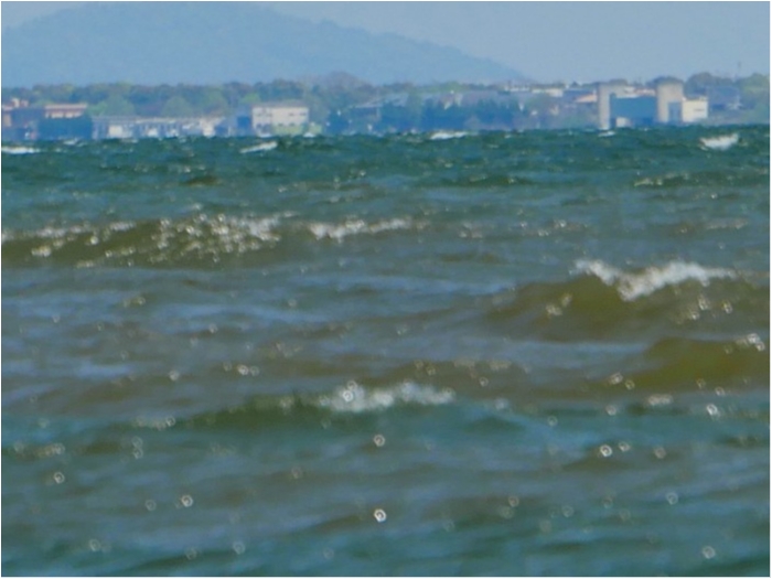 truth  ブログ写真 2018/04/14