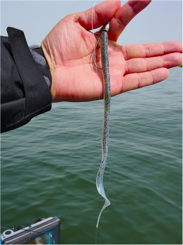 truth  ブログ写真 2018/04/16