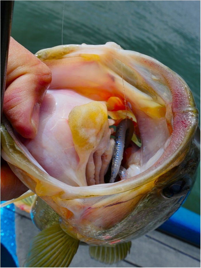 truth  ブログ写真 2018/04/16