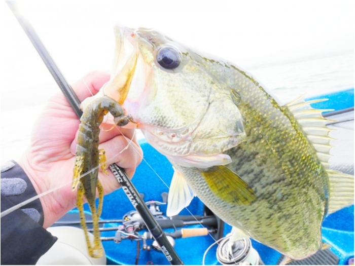 truth  ブログ写真 2018/04/16