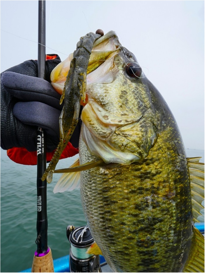 truth  ブログ写真 2018/04/17