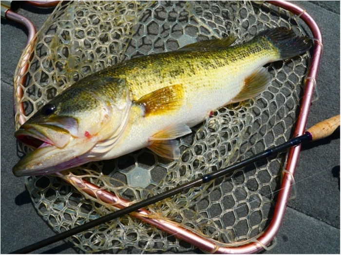 truth  ブログ写真 2018/04/18