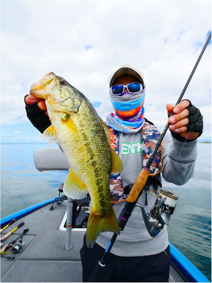 truth  ブログ写真 2018/04/18