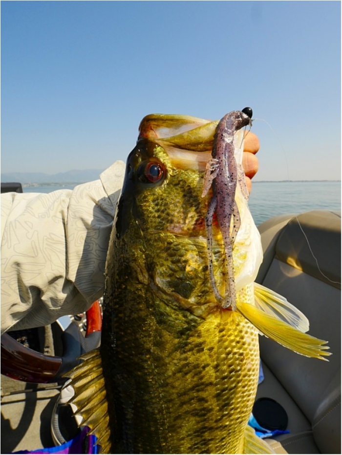 truth  ブログ写真 2018/04/20