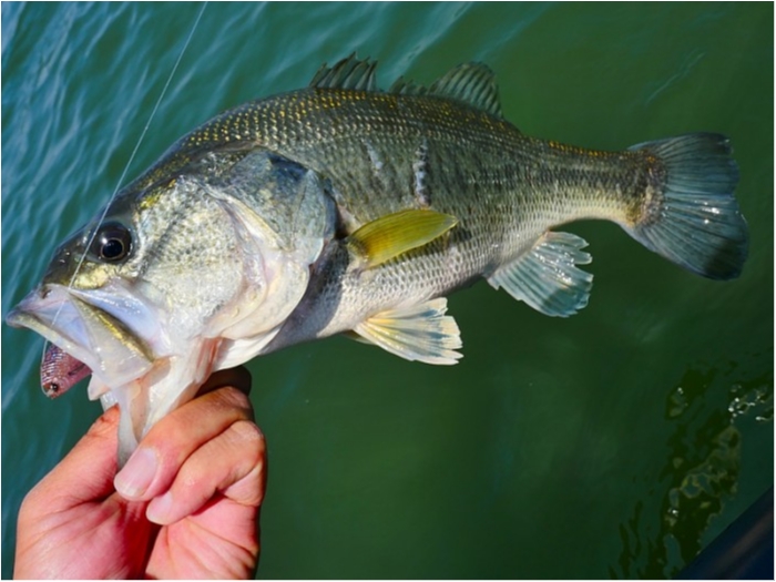 truth  ブログ写真 2018/04/20