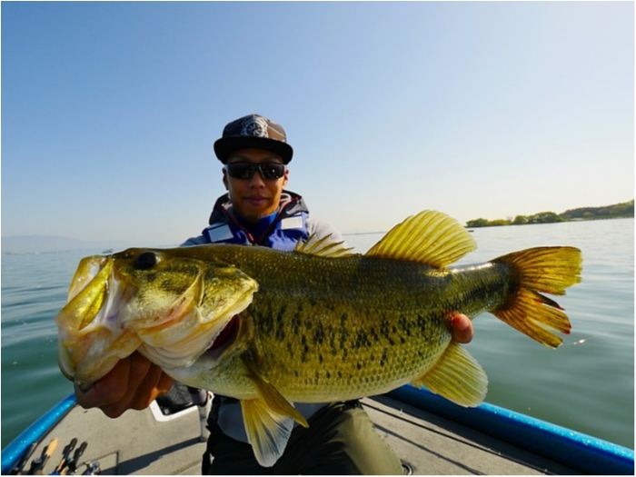 truth  ブログ写真 2018/04/20