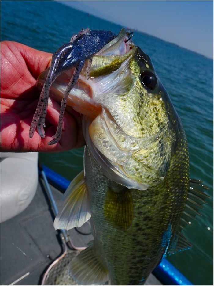 truth ブログ写真 2018/04/22