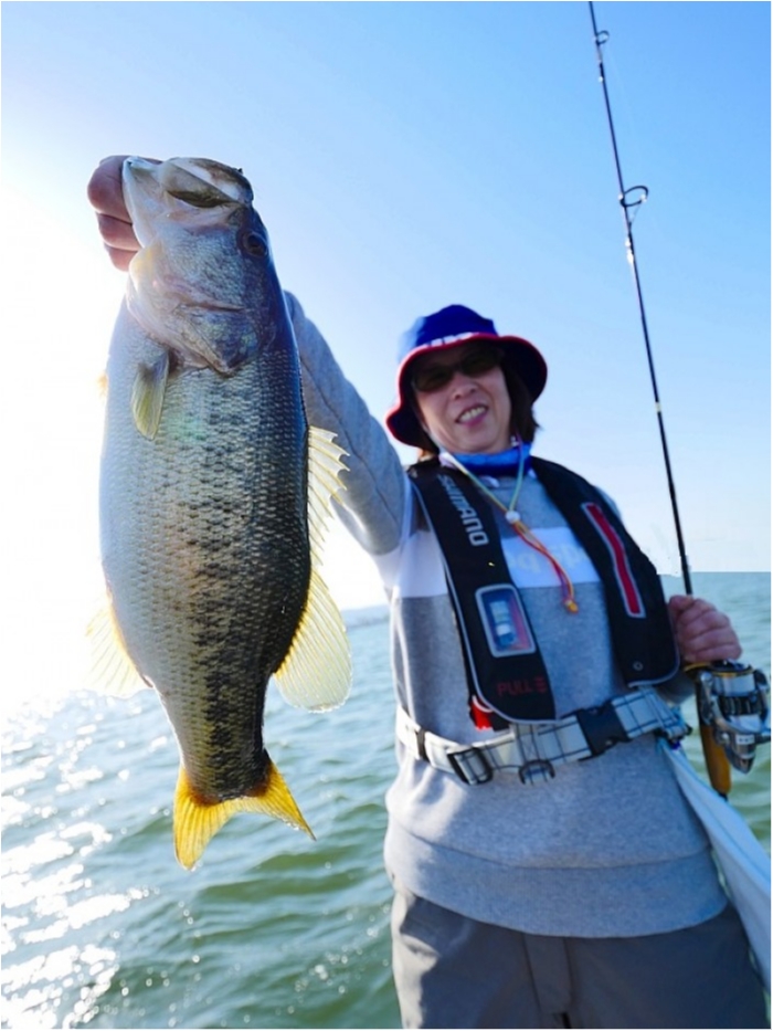 truth ブログ写真 2018/04/22