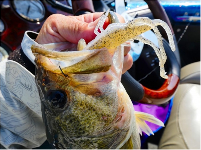 truth ブログ写真 2018/04/23