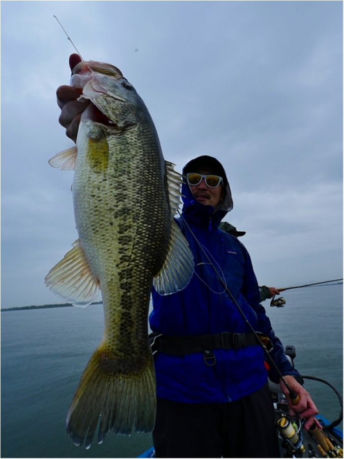 truth ブログ写真 2018/04/24