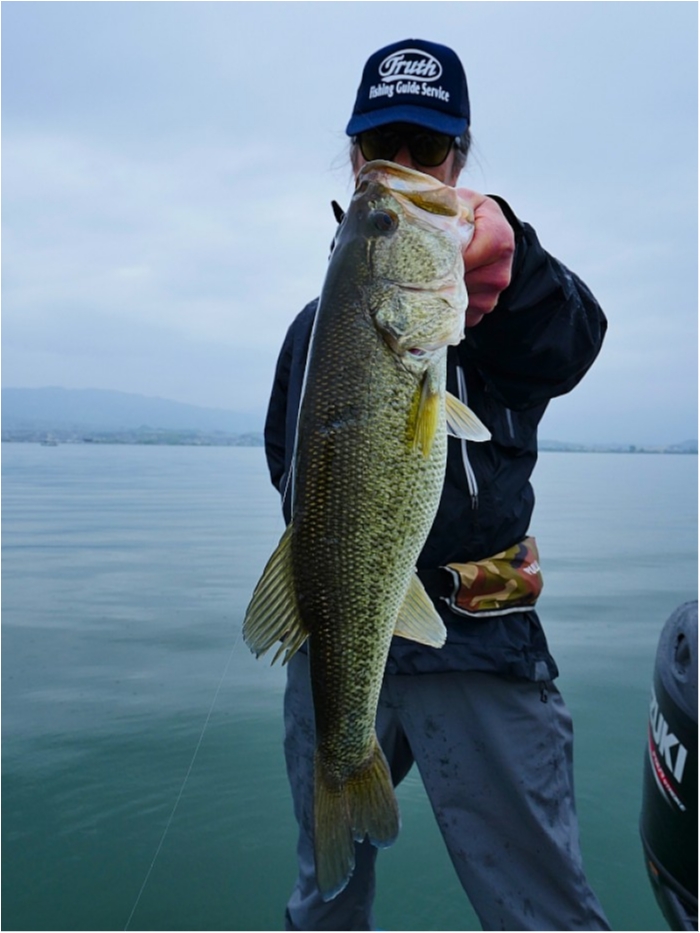 truth ブログ写真 2018/04/24