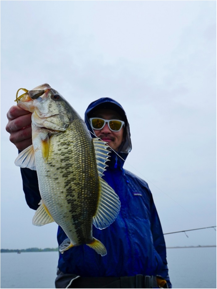 truth ブログ写真 2018/04/24