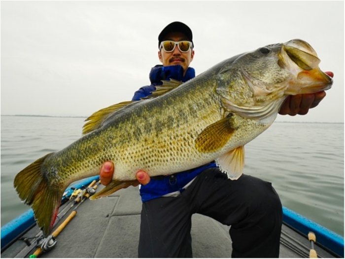 truth ブログ写真 2018/04/24