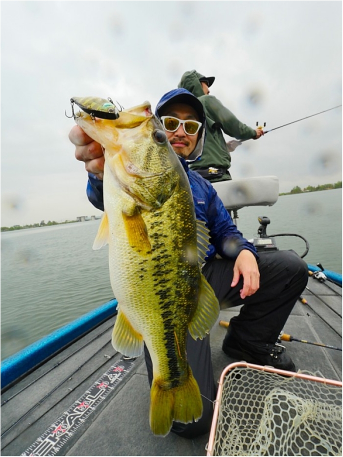 truth ブログ写真 2018/04/24