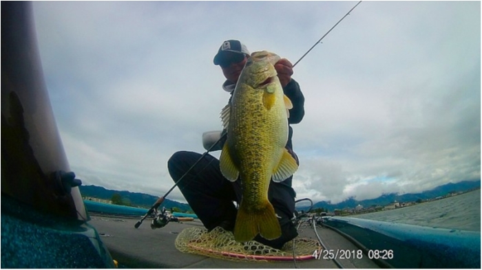 truth ブログ写真 2018/04/25