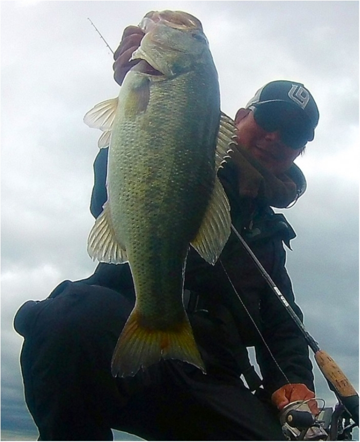 truth ブログ写真 2018/04/25