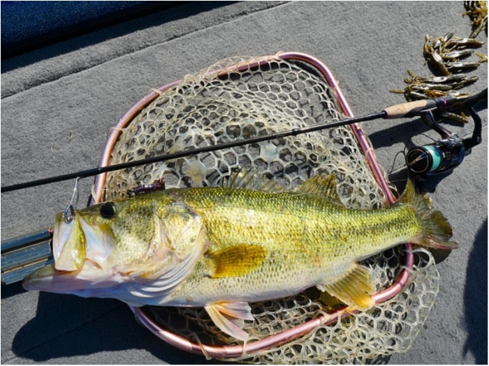 truth ブログ写真 2018/04/26