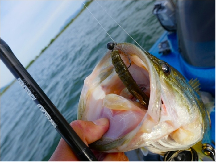 truth ブログ写真 2018/04/26