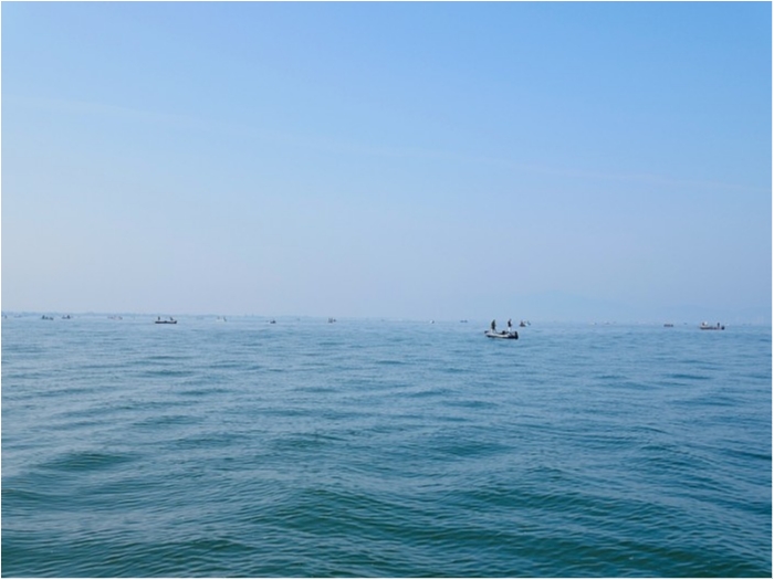 truth  ブログ写真 2018/05/01