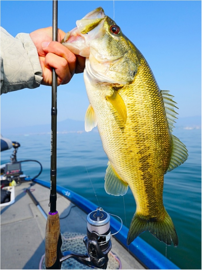 truth  ブログ写真 2018/05/01