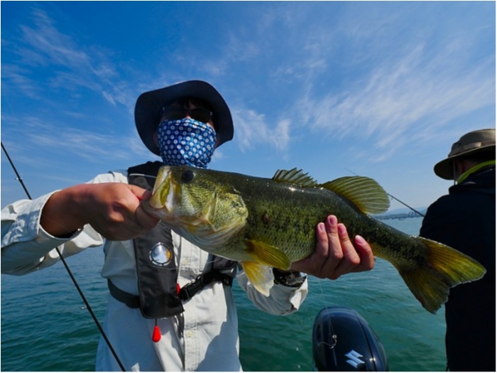 truth  ブログ写真 2018/05/01